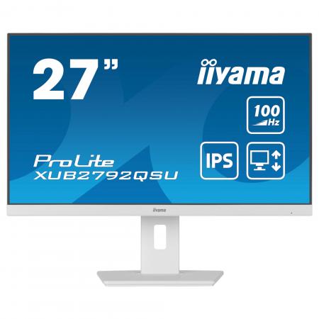 iiyama-large-image