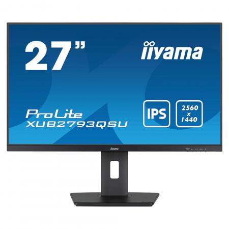 iiyama-large-image